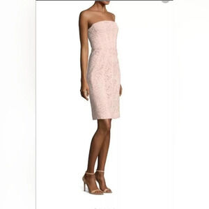 NWT J. Mendel Paris Corded Lace Sheath Blush Lace & Silk‎ Strapless Dress Size 6